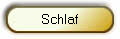 Schlaf