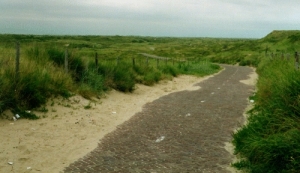 Radweg in den Dünen