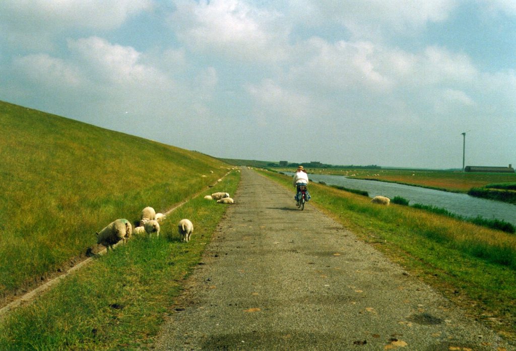 An der Nordsee entlang radeln, von Rotterdam nach Hamburg