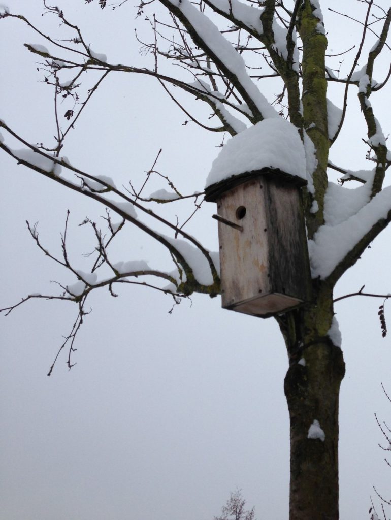 Das Vogelhäuschen hat eine dicke weiße Schneemütze auf.